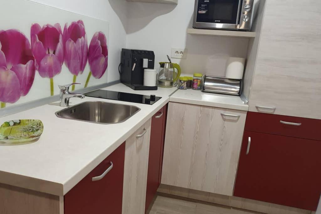 Zsizelle Rezidence Apartment บราชอฟ ภายนอก รูปภาพ