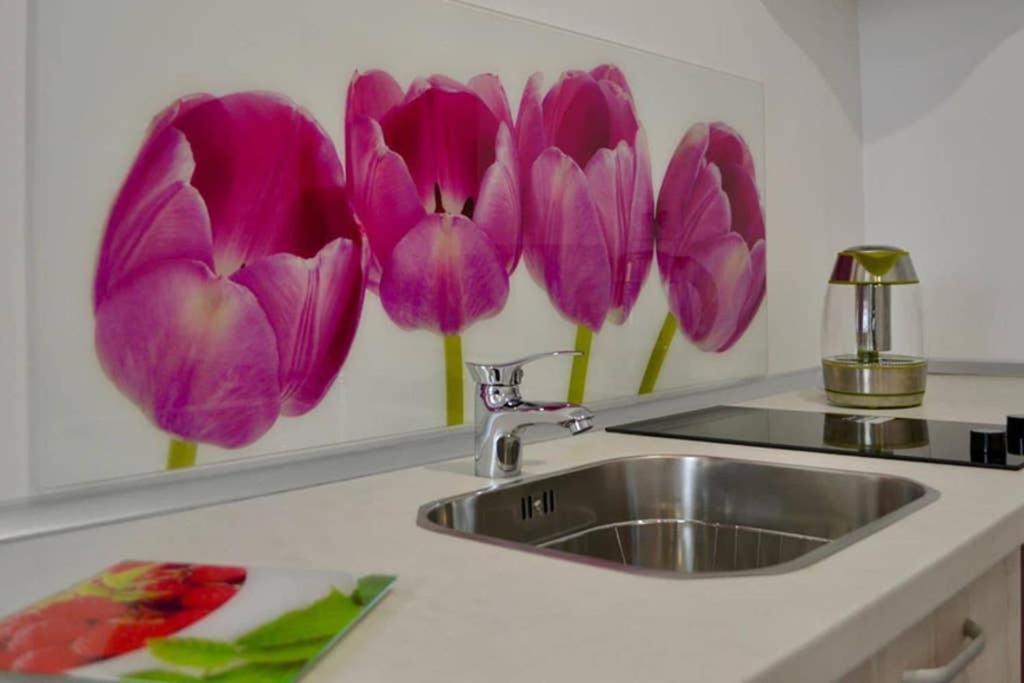 Zsizelle Rezidence Apartment บราชอฟ ภายนอก รูปภาพ