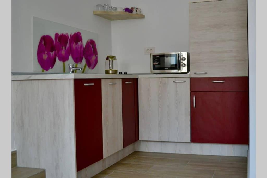 Zsizelle Rezidence Apartment บราชอฟ ภายนอก รูปภาพ