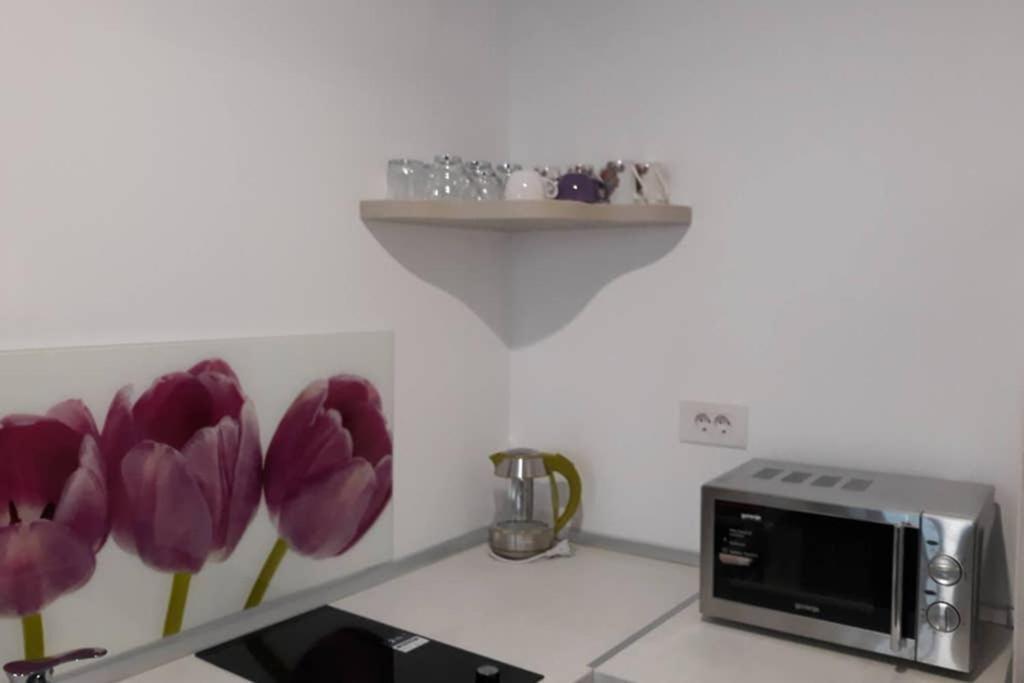 Zsizelle Rezidence Apartment บราชอฟ ภายนอก รูปภาพ